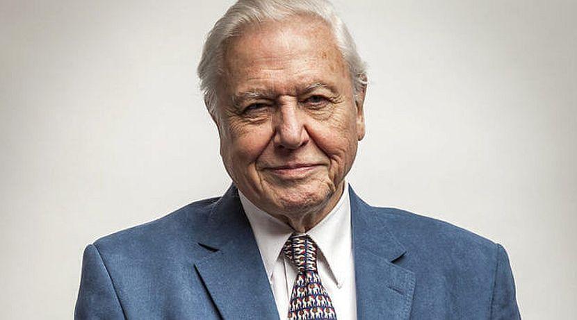 Happy 94th Birthday, David Attenborough!