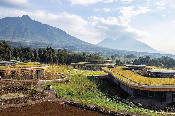 Ellen DeGeneres Campus - Dian Fossey Gorilla Fund