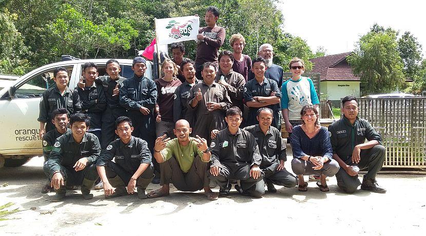 5 Orangutans Released Into The Wild In Borneo!