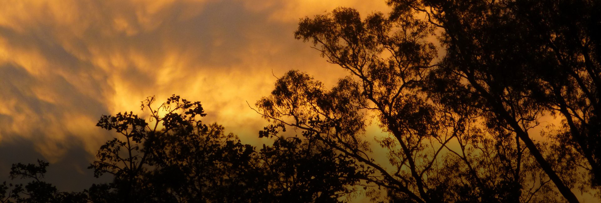 Return Volunteer David Reviews Amakhala Conservation Experience