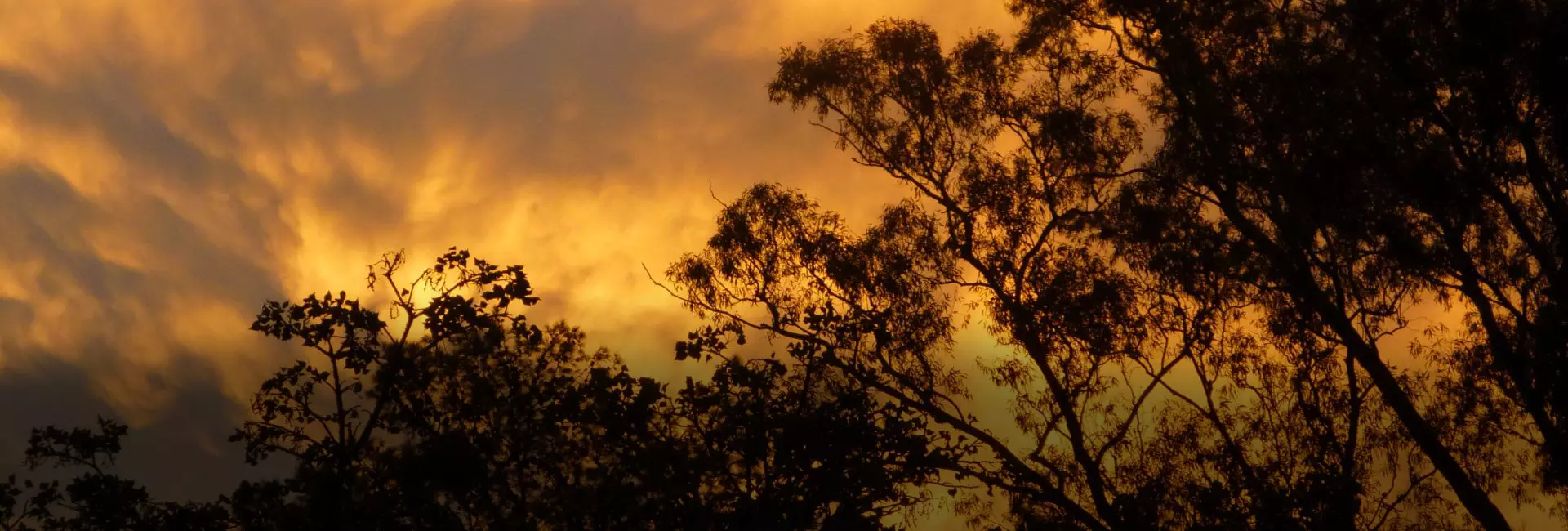 Return Volunteer David Reviews Amakhala Conservation Experience