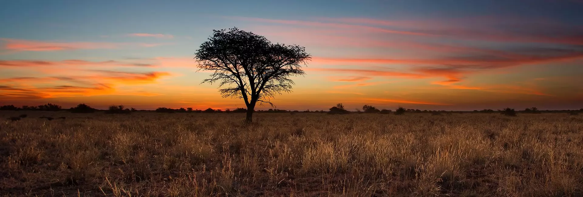 South Africa