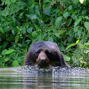 Bolivia Wildlife Sanctuary