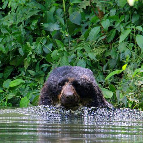 Bolivia Wildlife Sanctuary