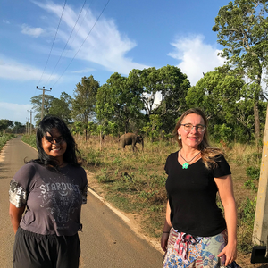 A Week with Wild Elephants: Elaine’s Review of The Great Elephant Project