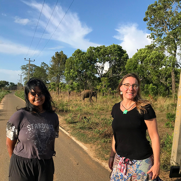 A Week with Wild Elephants: Elaine’s Review of The Great Elephant Project