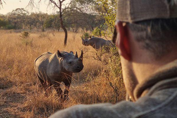 Rhino Tracking