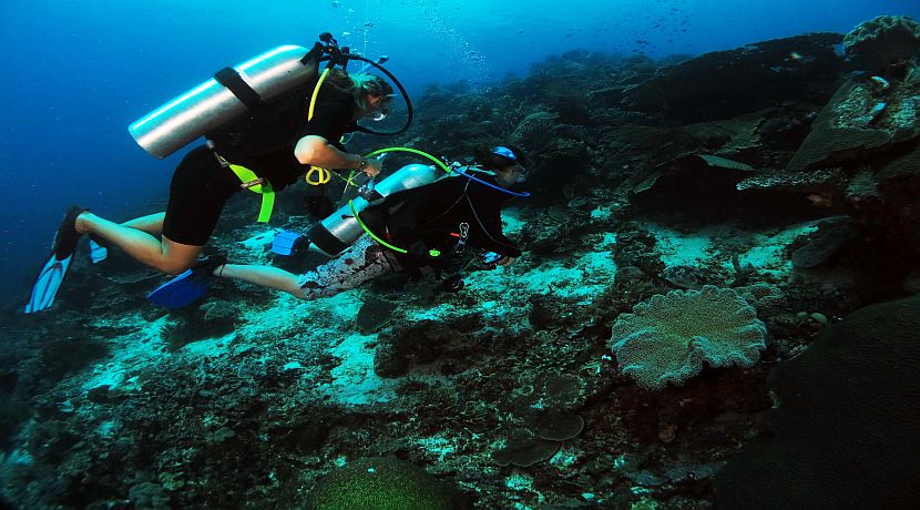 Diving Volunteering Projects