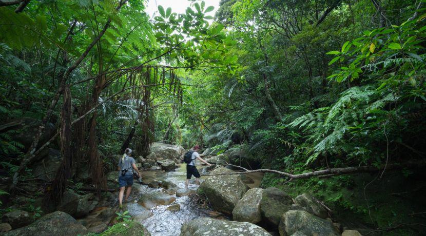 Essentials for Volunteering in the Rainforest!