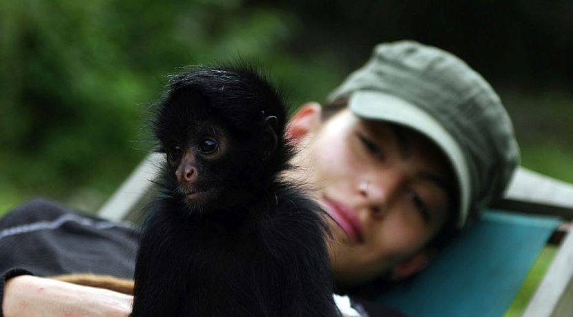 Top 5 Alternative Wildlife Volunteer Career Breaks