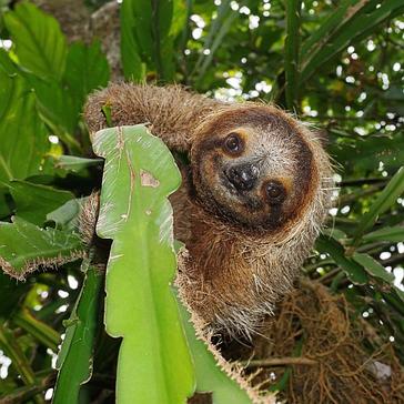 An A-Z Of...Costa Rica (Part Two)