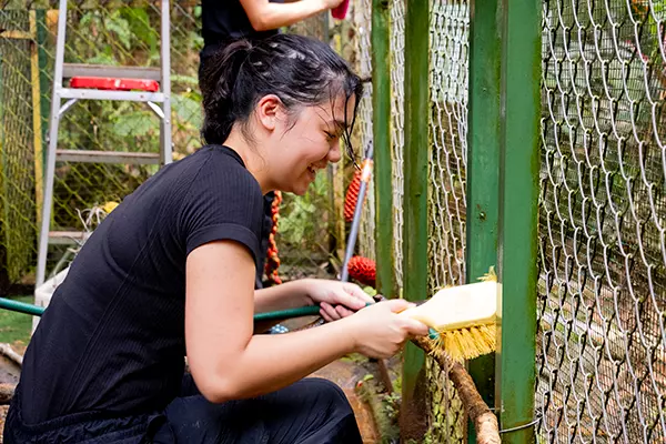 Cleaning an Enclosure at the Sloth Conservation and Wildlife Experience