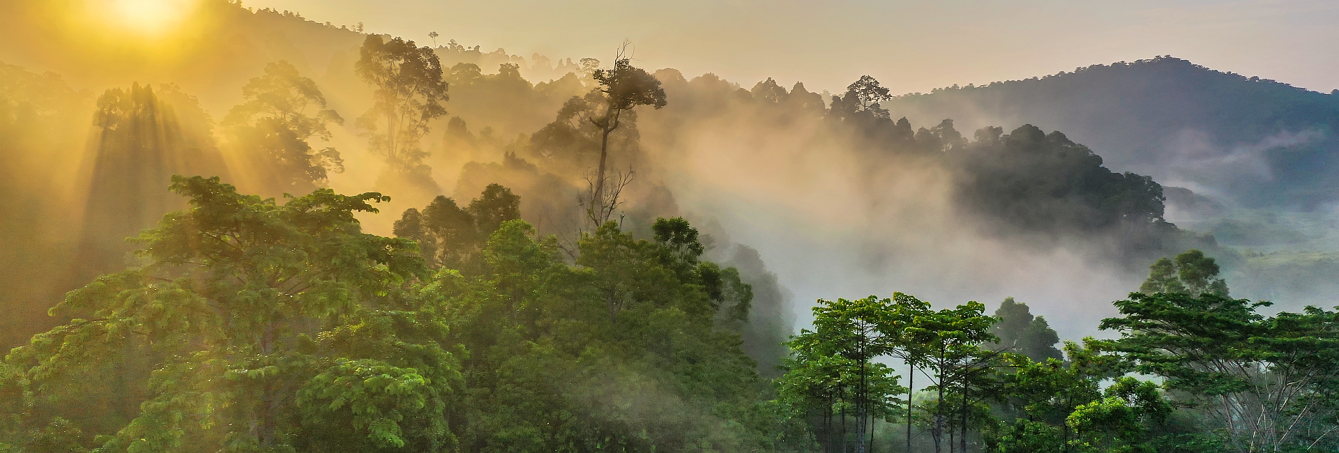 The Celebration Of World Wildlife Day 2023