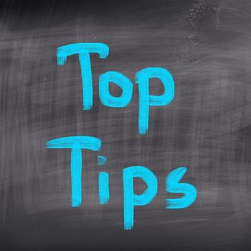 Nikita's Top 5 Tips For The Great Turtle Project Volunteers! 