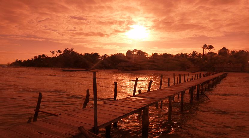 Marine Conservation Volunteer Experiences - Raja Ampat Diving Project