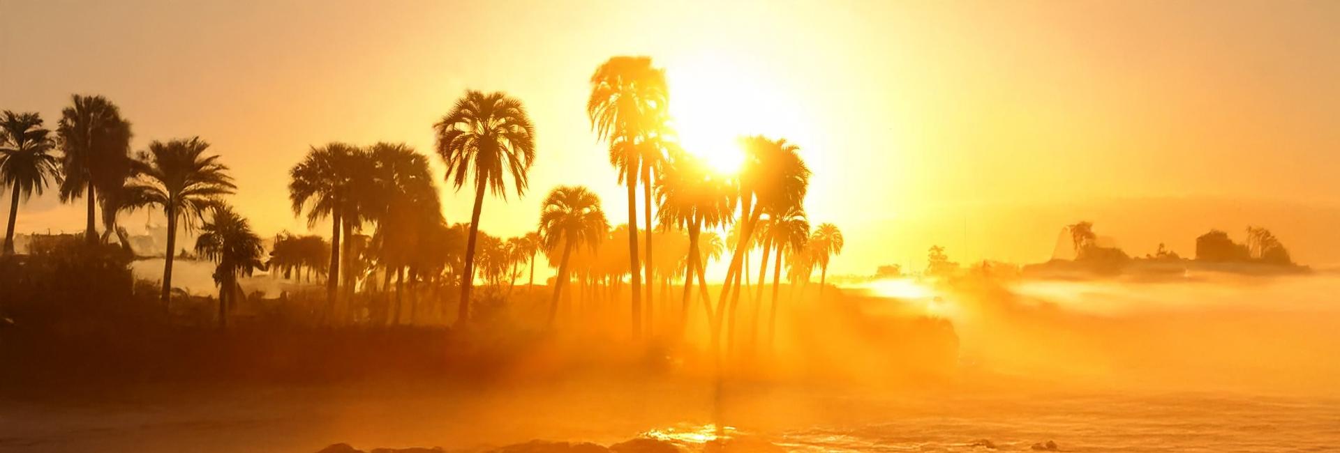 Your Summer Holiday... But Better!