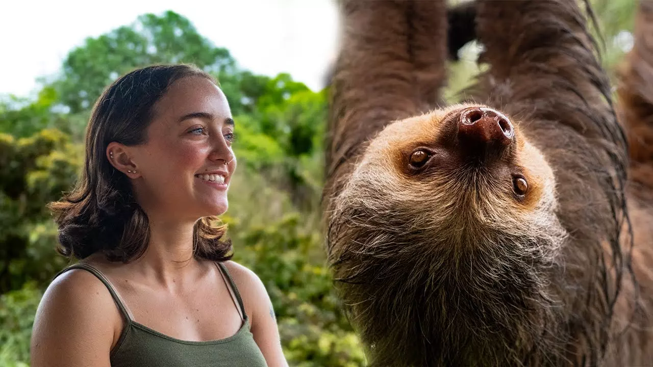 Sloth Conservation and Wildlife Experience - Review Video