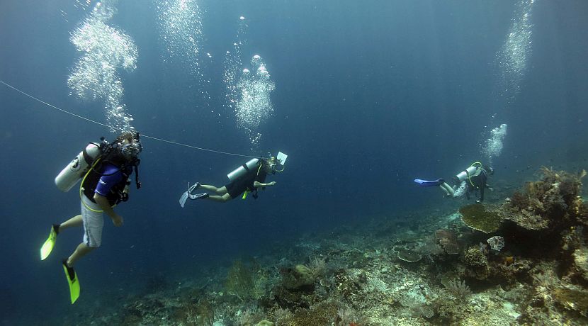 A Week in the Life of a Marine Conservation Volunteer at Raja Ampat
