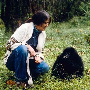 Honouring Dian Fossey’s Legacy on World Gorilla Day