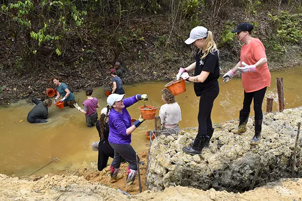 Volunteers Building an Orangutan Platform