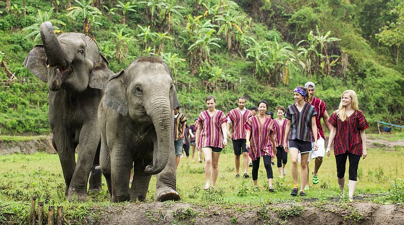 The Shocking Truth About Sanctuaries - Are All Organisations As Honest As They Seem?