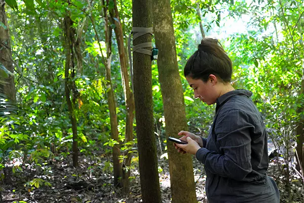 Camera Traps