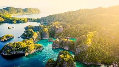 Raja Ampat Diving Project - Tom's Video