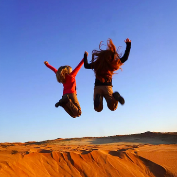 Beat the Winter Blues: Best Wildlife Volunteer Projects to Join This Winter