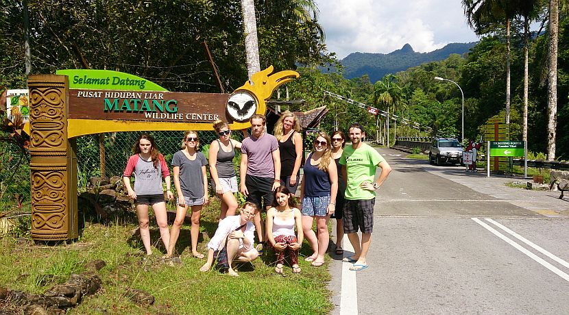 Volunteer Experiences - The Great Orangutan Project