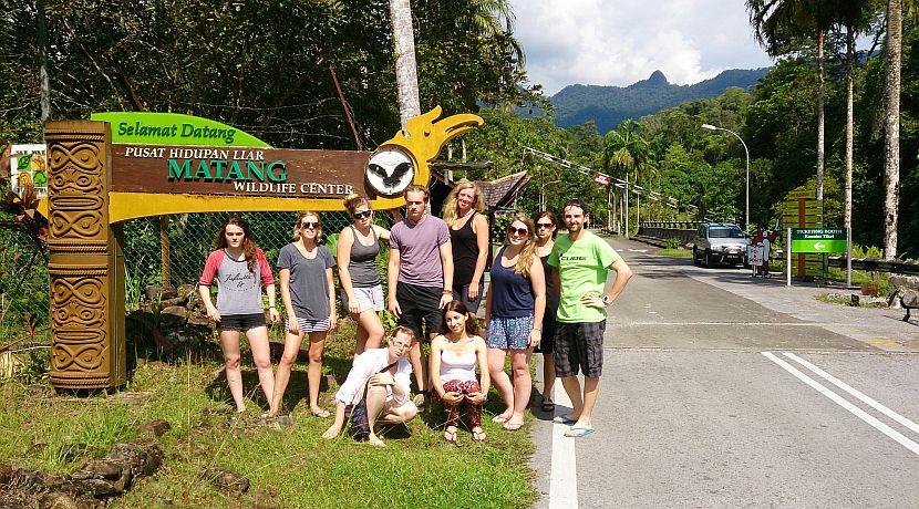 Volunteer Experiences - The Great Orangutan Project