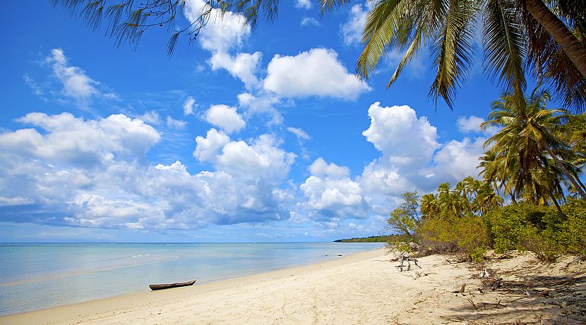 Flash Sale - Take A Journey With Us To Mafia Island!