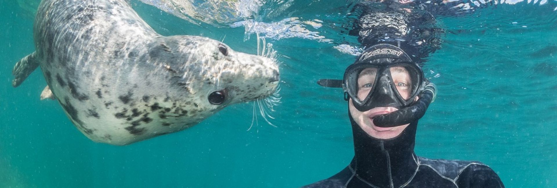 Mother Ocean Day 2017 - We Talked To Underwater Photographer Dan Bolt!