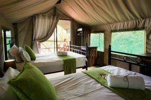 Volunteer Accommodation