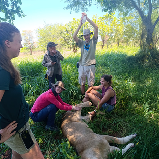 Couple Douglas and Julie Share their SanWild Sanctuary & Reserve Adventure!