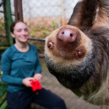 Best Wildlife Sanctuary Volunteer Projects to Join in 2026