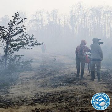 IAR Fire - Help Needed Urgently 