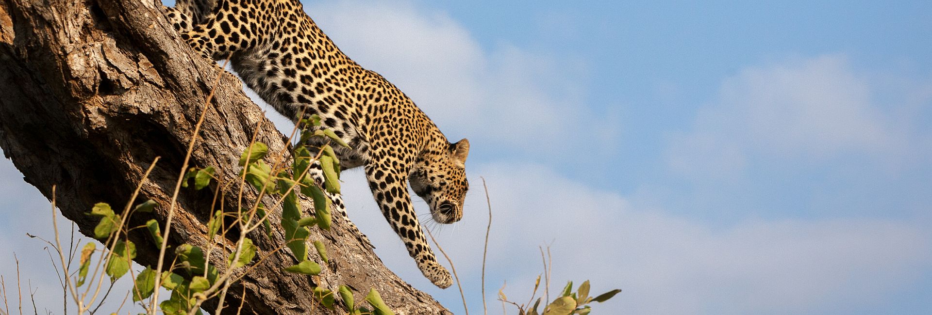 August's Offers - See Which Projects Are Now Available With 10% Off!