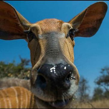A Month In Pictures At The Rhino And Elephant Conservation Project!
