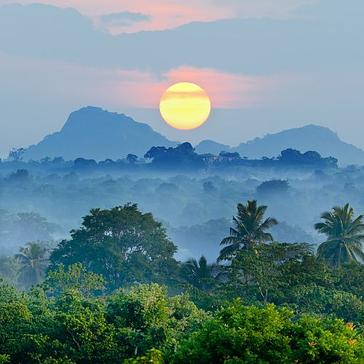 Discover The Most Amazing Ecosystem On Earth - The Rainforest