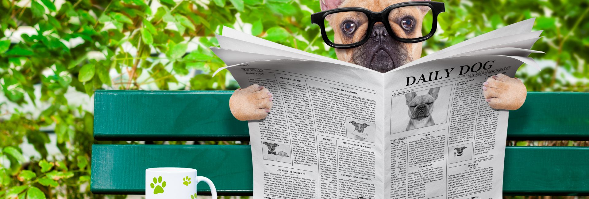 From Heroic Hounds To Controversy And Cruelty - Read September's News In Review!