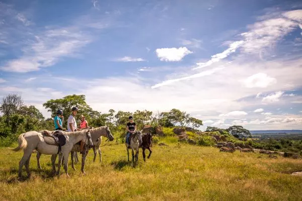 Herd Monitoring by Horseback