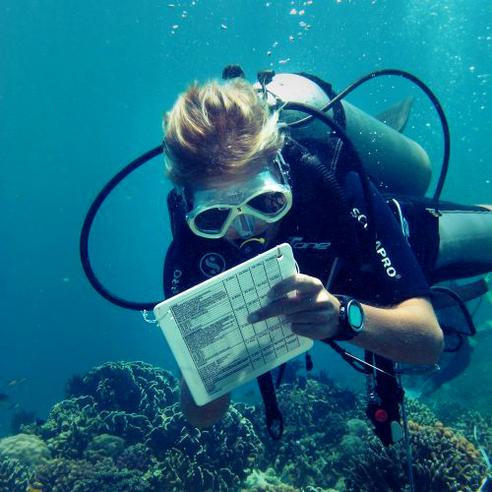 Perhentian Islands Marine Project