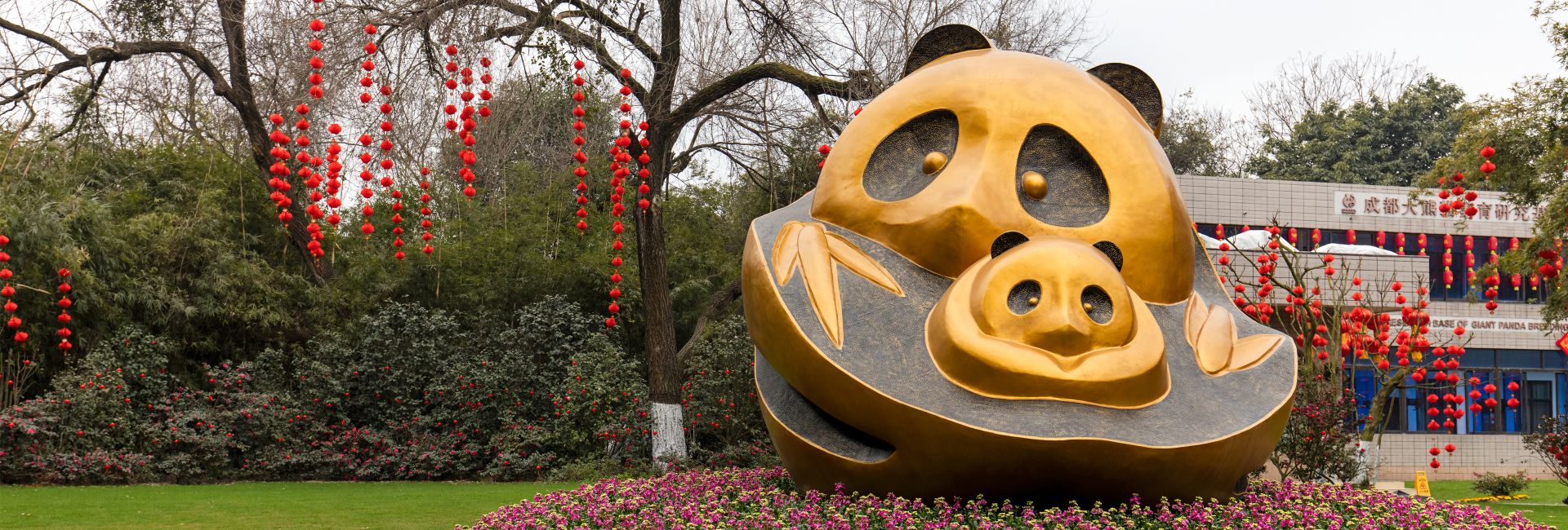 How The Chengdu Panda Base Has Changed The Face Of Conservation In China