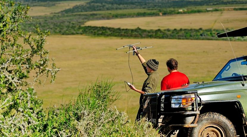 Volunteer in South Africa to observe Predators and their Prey 