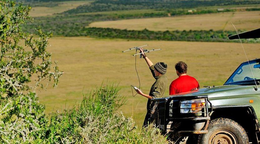 Volunteer in South Africa to observe Predators and their Prey