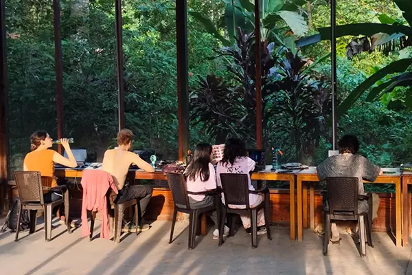 Data Entry