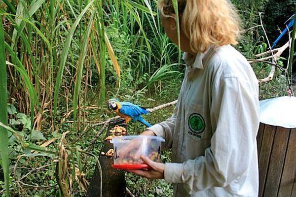 Feeding Animals at the Bolivia Wildlife Sanctuary