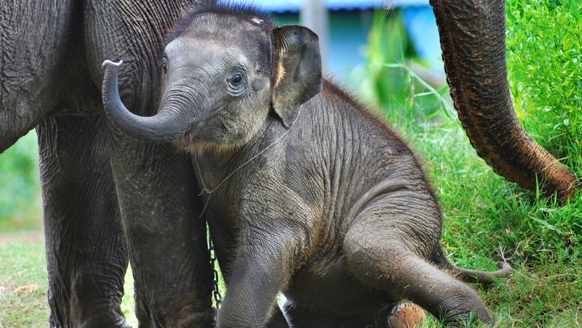 Thailand and its Tourism - Are We Making The Right Choices?