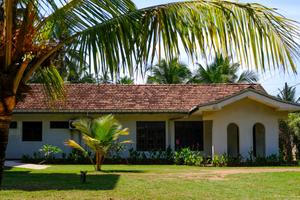 Accommodation at The Great Turtle Project