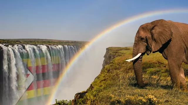 Volunteer in Zimbabwe 2024